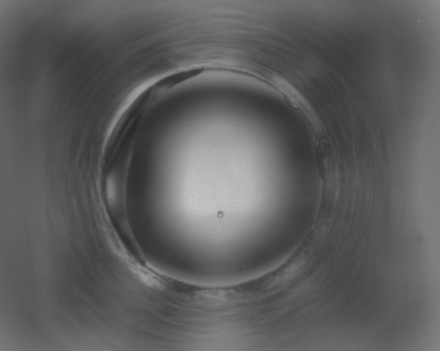 X0000053070956200507111215