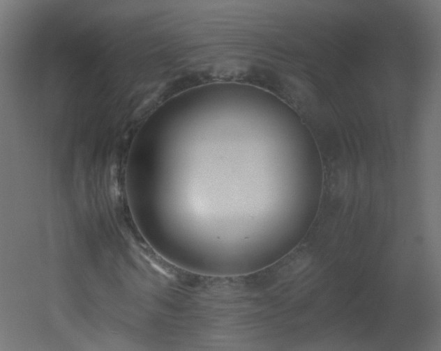 X0000053070962200507111214