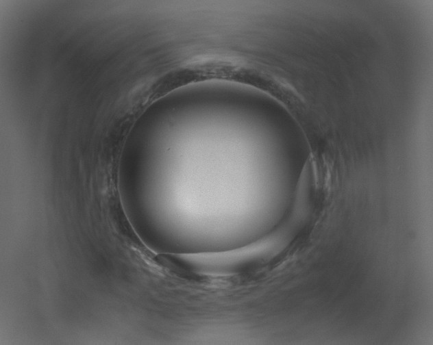 X0000053070965200507111214