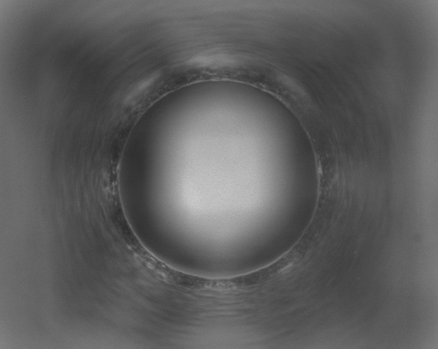 X0000053070966200507111214