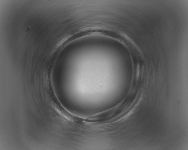 X0000053070969200507111214