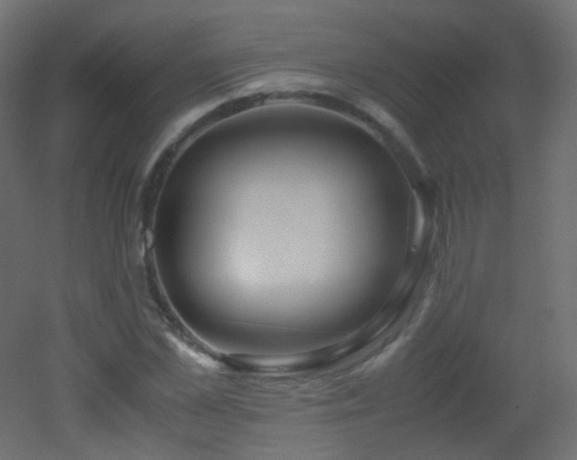 X0000053070973200507111214