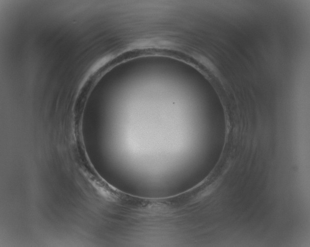 X0000053070974200507111214