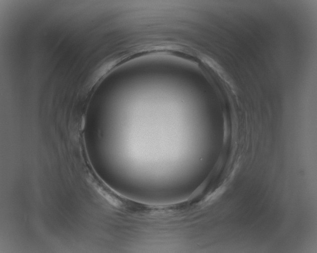 X0000053070985200507111214