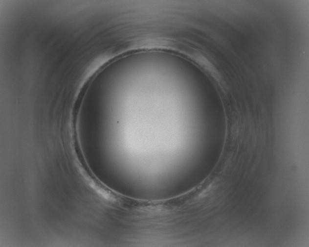 X0000053070990200507111213