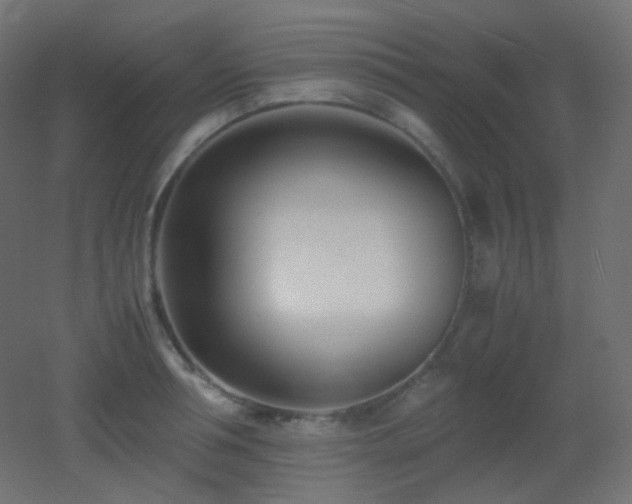 X0000053070994200507111213