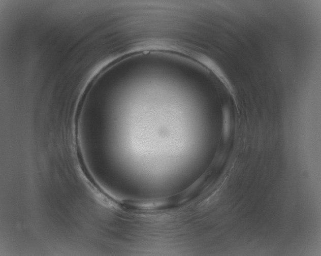 X0000053070996200507111213