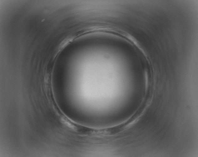 X0000053071001200507111213