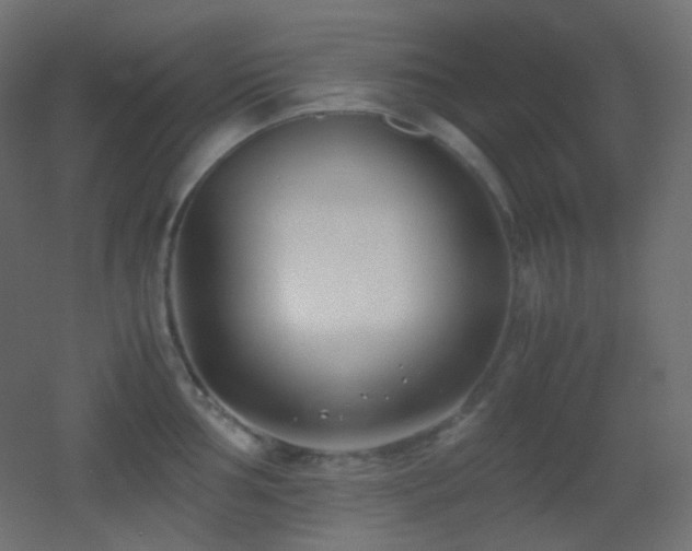 X0000053071002200507111213