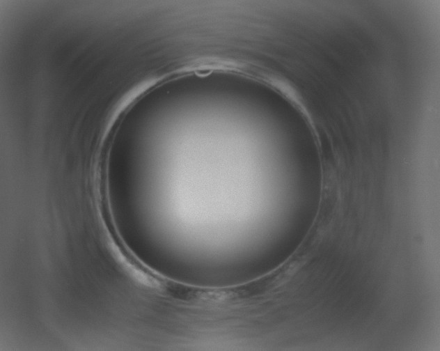 X0000053071003200507111213