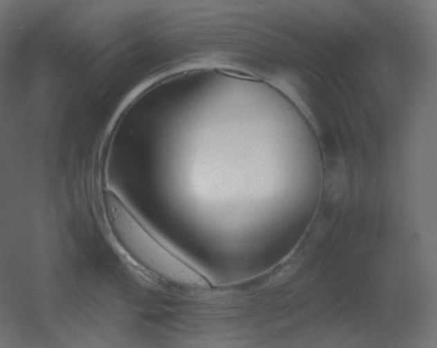 X0000053071004200507111213