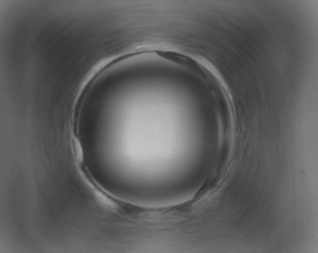 X0000053071005200507111213