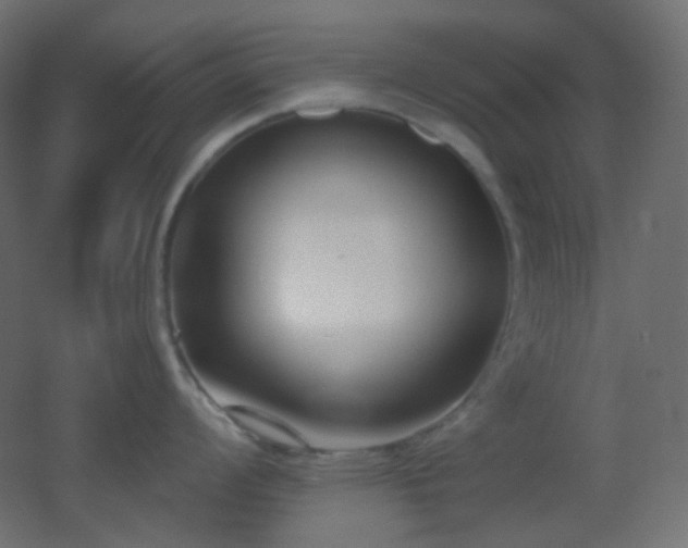 X0000053071008200507111213