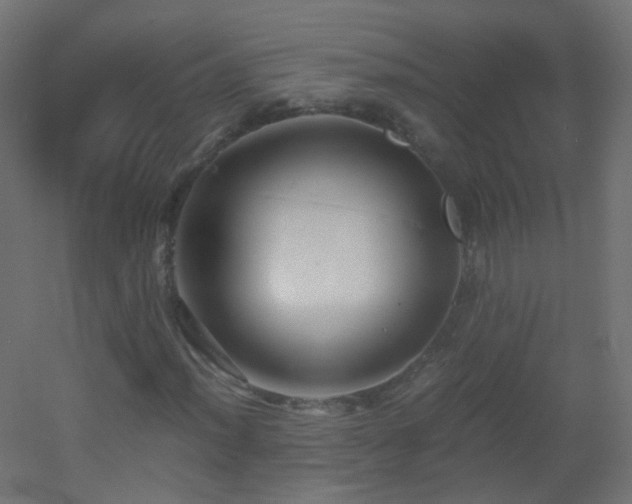 X0000053071012200507111212
