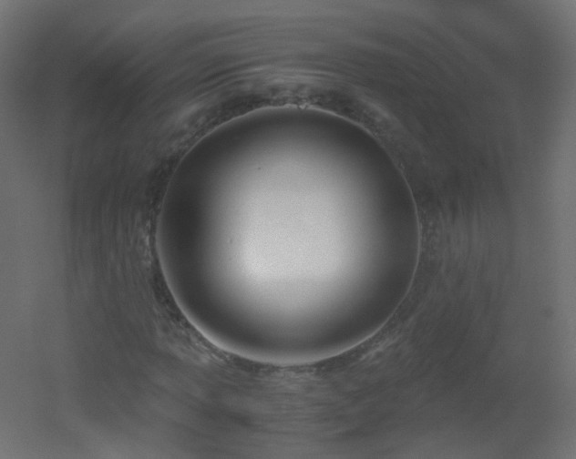 X0000053071013200507111212