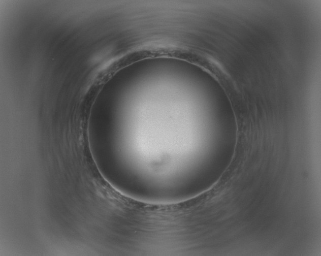 X0000053071016200507111212