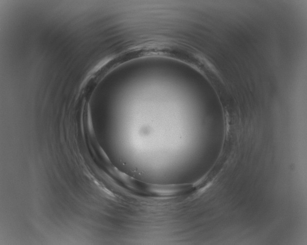 X0000053071018200507111213