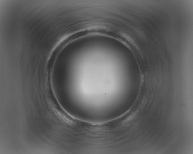 X0000053071021200507111213