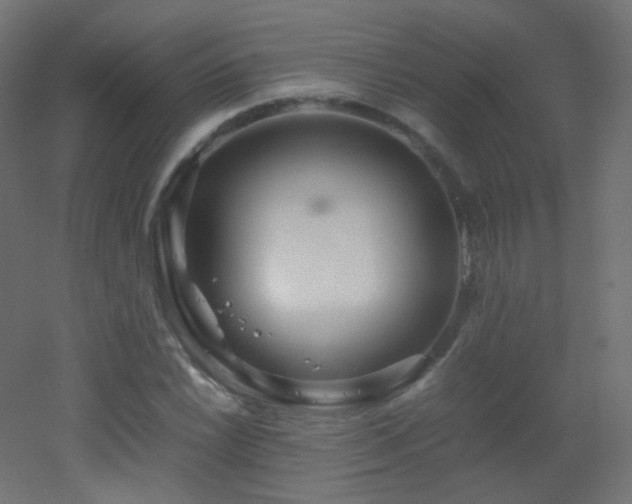 X0000053071022200507111213
