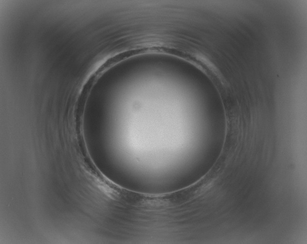 X0000053071023200507111213