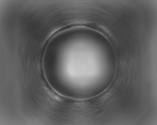 X0000053071025200507111213