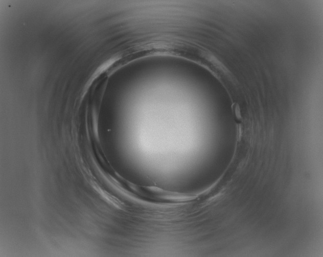 X0000053071026200507111213
