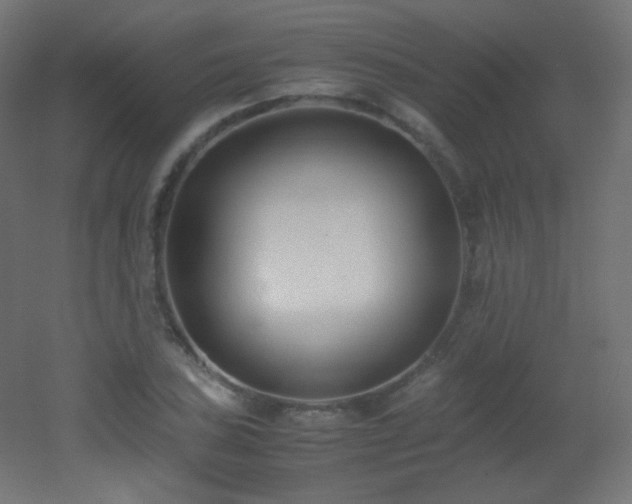 X0000053071027200507111213