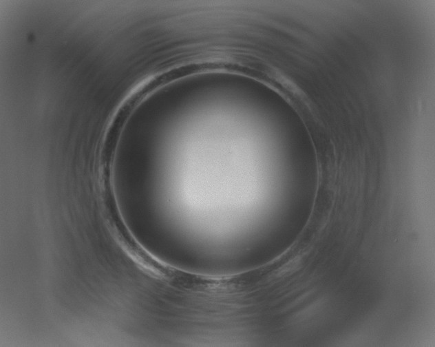 X0000053071029200507111213