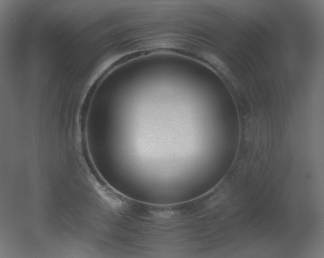 X0000053071031200507111213