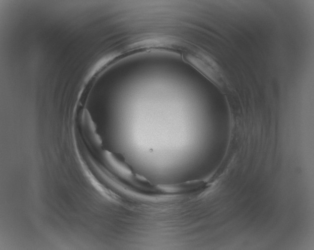 X0000053071034200507111213