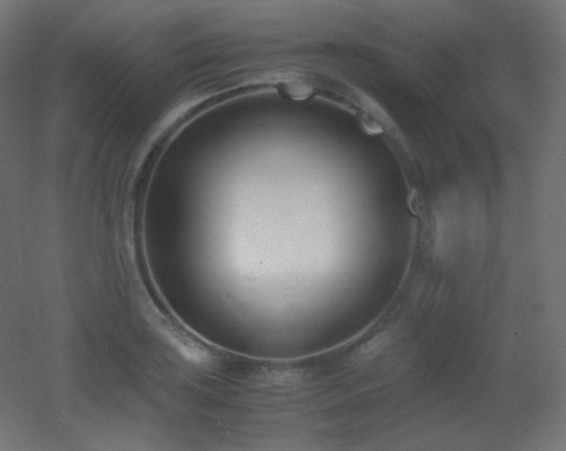 X0000053071035200507111213