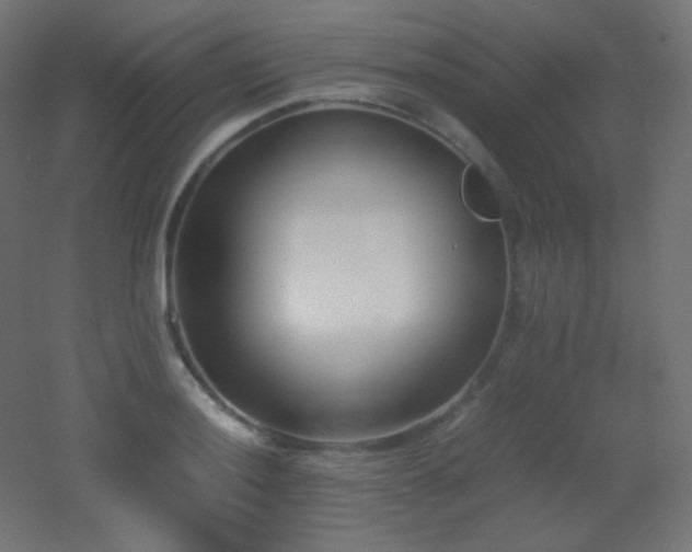 X0000053071036200507111213