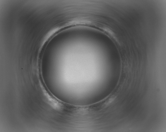 X0000053071038200507111213
