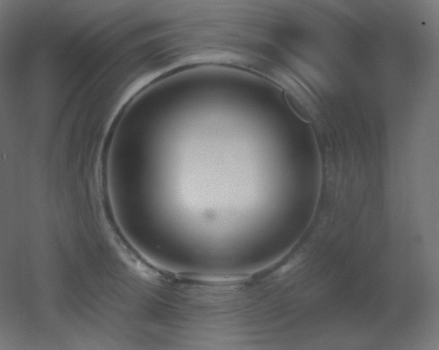 X0000053071044200507111213