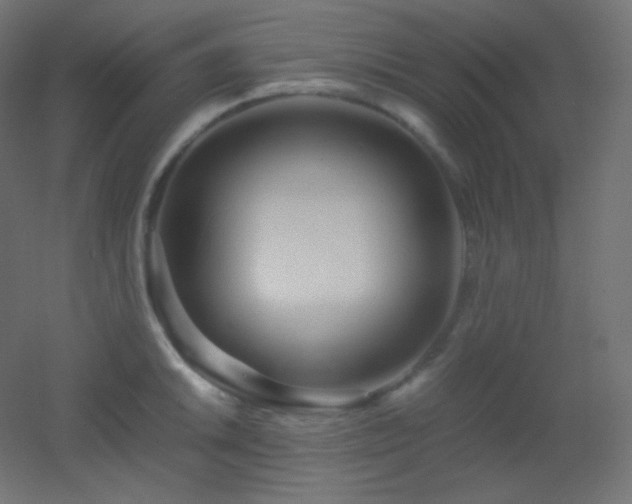 X0000053071046200507111213