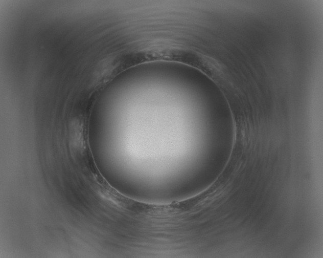 X0000053071060200507111212
