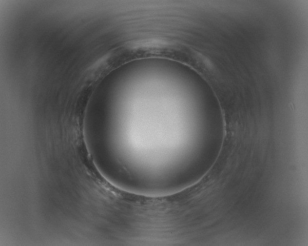 X0000053071062200507111212