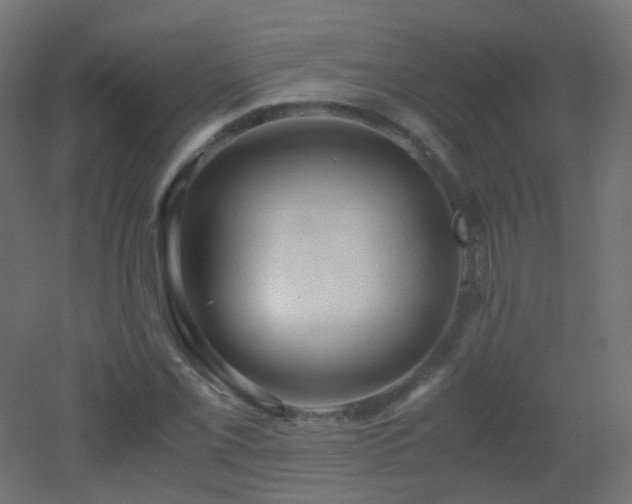 X0000053071069200507111212