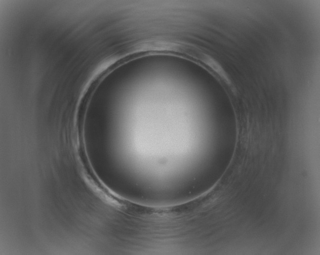 X0000053071080200507111212