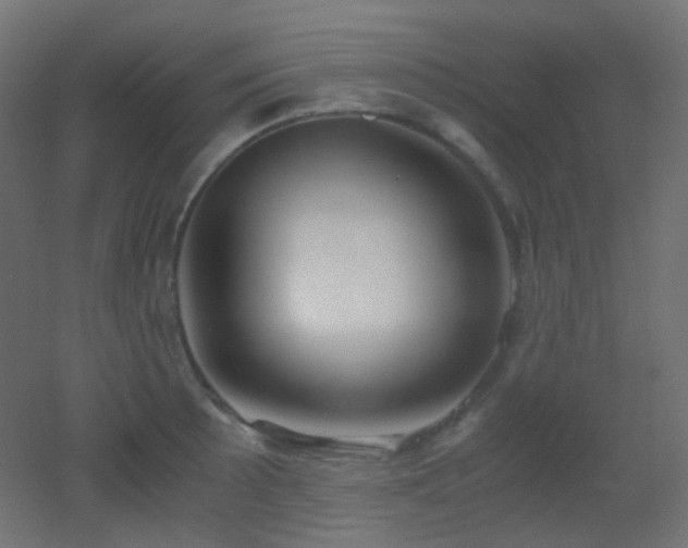 X0000053071089200507111212