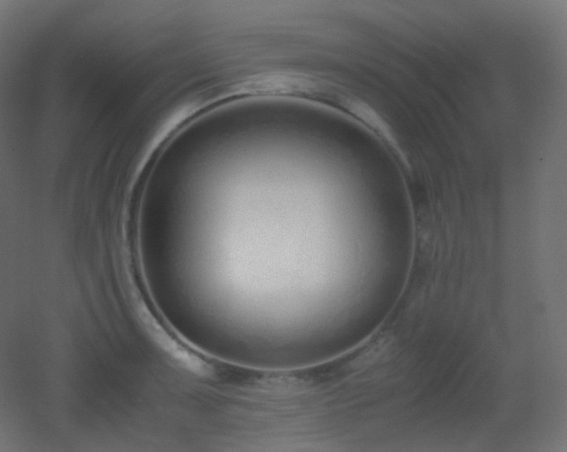 X0000053071091200507111212