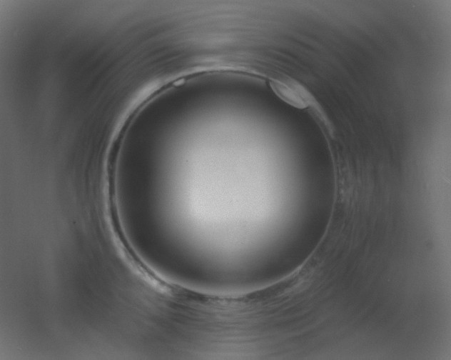 X0000053071096200507111212