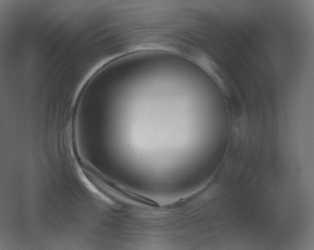 X0000053071100200507111212