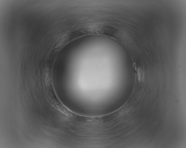X0000053071107200507111211