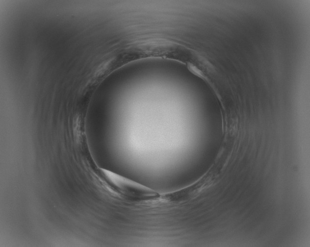 X0000053071108200507111211