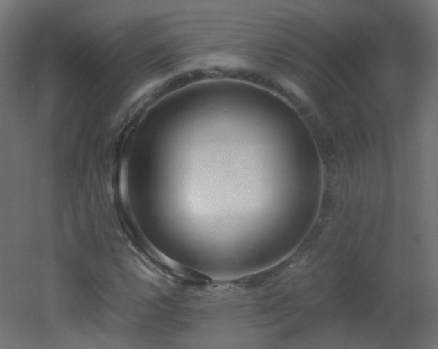 X0000053071112200507111211
