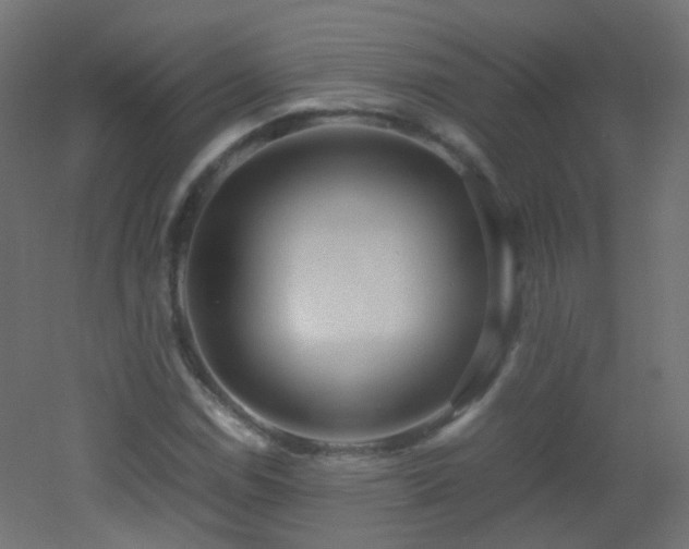 X0000053071114200507111211
