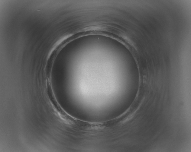 X0000053071117200507111211