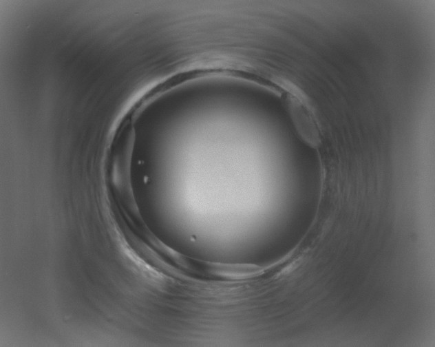 X0000053071120200507111211
