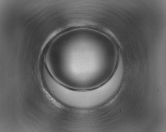 X0000053071122200507111211